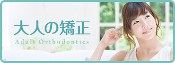 大人の矯正 Adult Orthodontics